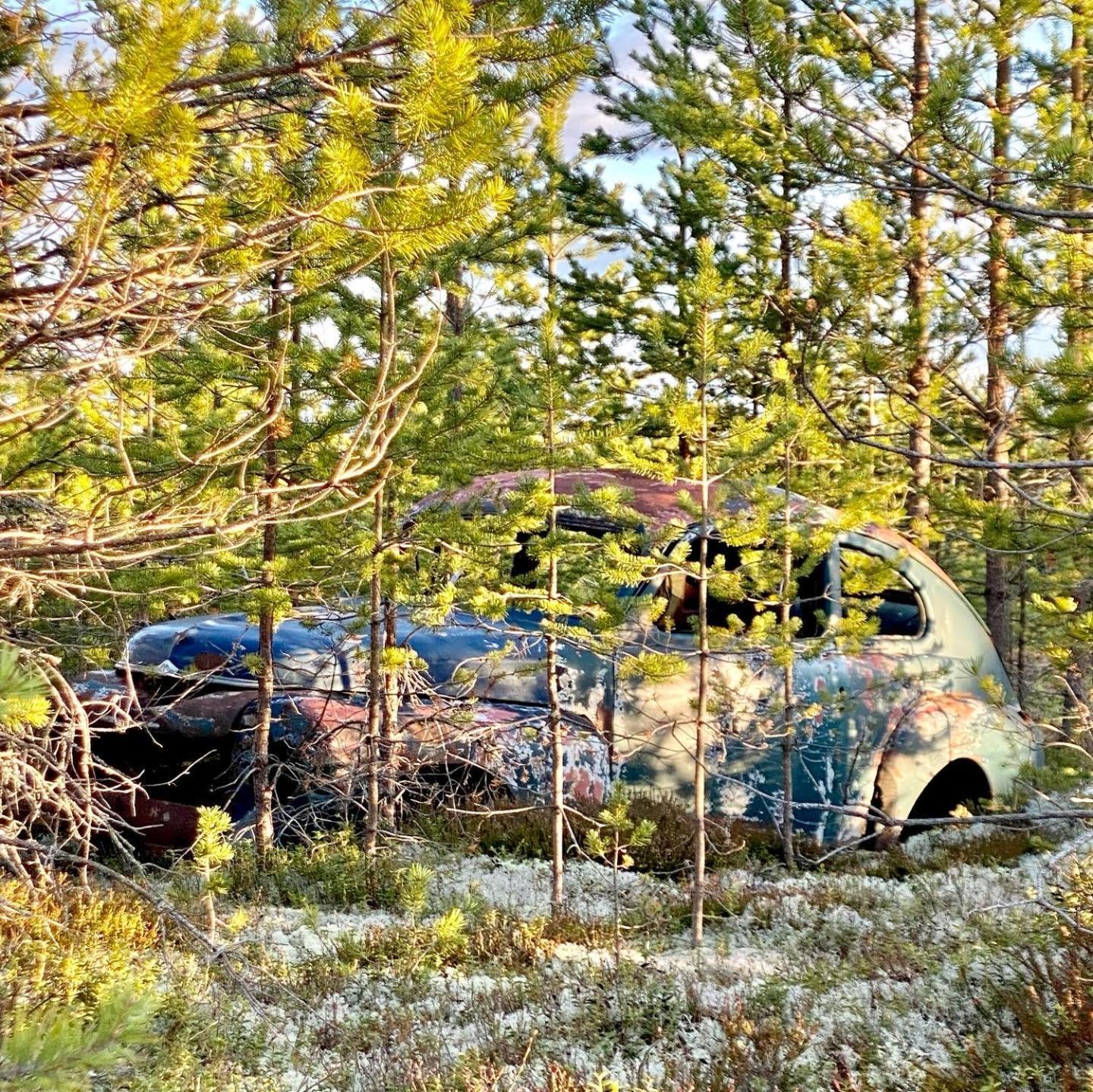 Offroadcamp Hotel Sorsjon Ngoại thất bức ảnh